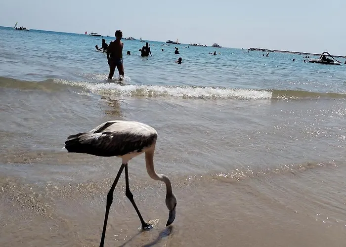 Oasimareblu Lägenhet Marina di Ragusa
